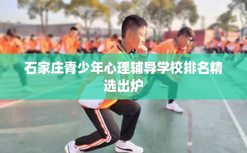 石家庄青少年心理辅导学校排名精选出炉