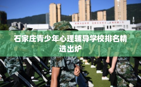 石家庄青少年心理辅导学校排名精选出炉