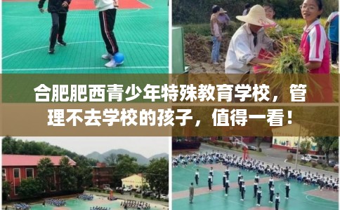 合肥肥西青少年特殊教育学校,管理不去学校的孩子,值得一看! 合肥肥西青少年特殊教育学校,管理不去学校的孩子,值得一看!