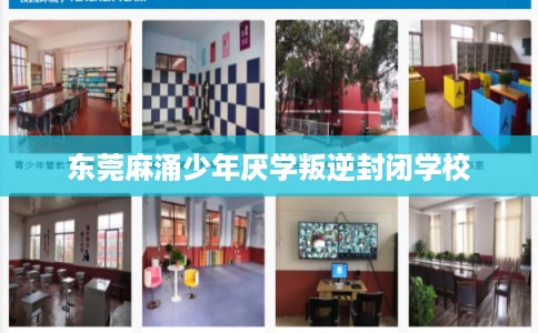 东莞麻涌少年厌学叛逆封闭学校 东莞麻涌少年厌学叛逆封闭学校