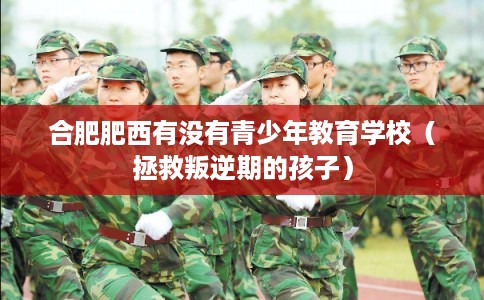 合肥肥西有没有青少年教育学校（拯救叛逆期的孩子）