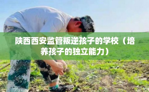 陕西西安监管叛逆孩子的学校（培养孩子的独立能力）