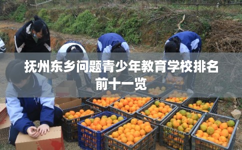 抚州东乡问题青少年教育学校排名前十一览