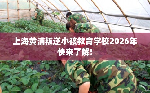 上海黄浦叛逆小孩教育学校2026年快来了解!