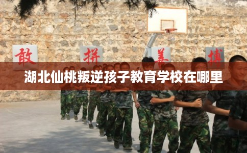 湖北仙桃叛逆孩子教育学校在哪里