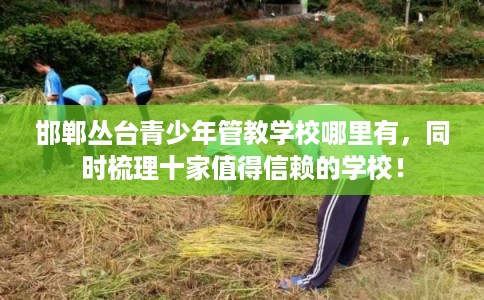 邯郸丛台青少年管教学校哪里有,同时梳理十家值得信赖的学校! 邯郸丛台青少年管教学校哪里有,同时梳理十家值得信赖的学校!