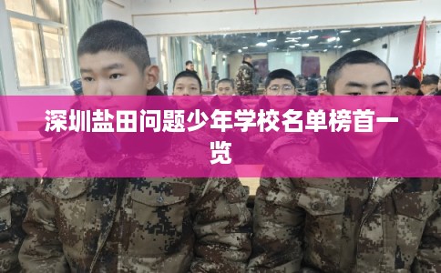 深圳盐田问题少年学校名单榜首一览