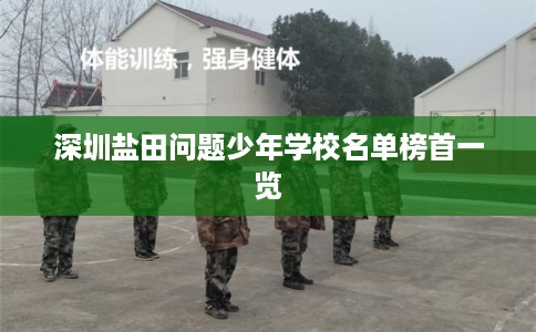 深圳盐田问题少年学校名单榜首一览