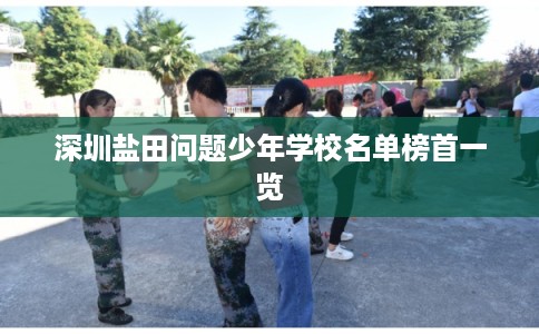 深圳盐田问题少年学校名单榜首一览