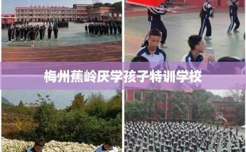 梅州蕉岭厌学孩子特训学校