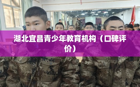 湖北宜昌青少年教育机构（口碑评价）