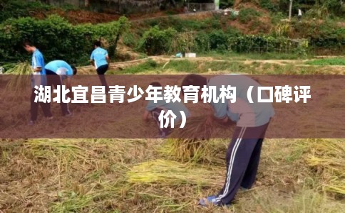 湖北宜昌青少年教育机构（口碑评价）