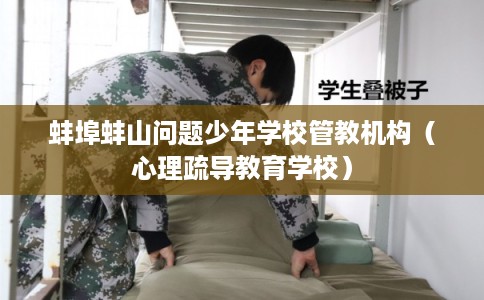 蚌埠蚌山问题少年学校管教机构（心理疏导教育学校）