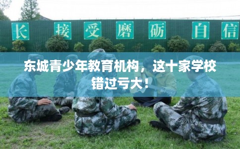 东城青少年教育机构，这十家学校错过亏大！
