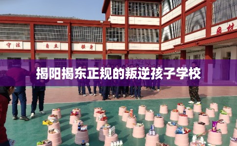 揭阳揭东正规的叛逆孩子学校