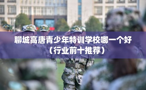 聊城高唐青少年特训学校哪一个好（行业前十推荐）
