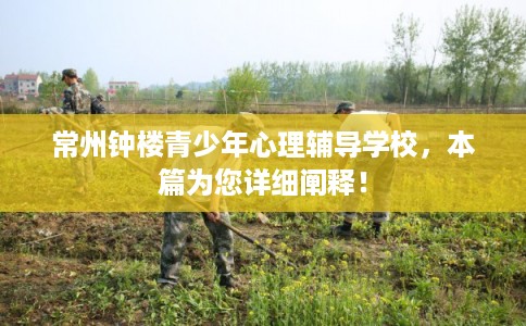 常州钟楼青少年心理辅导学校，本篇为您详细阐释！