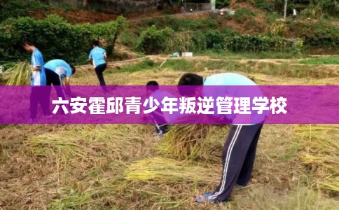 六安霍邱青少年叛逆管理学校