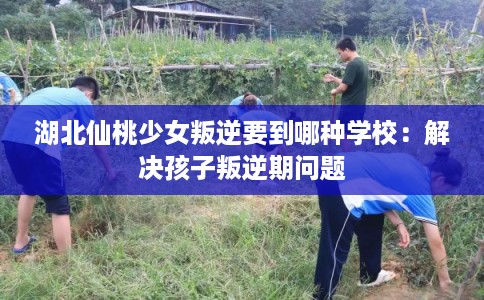 湖北仙桃少女叛逆要到哪种学校：解决孩子叛逆期问题