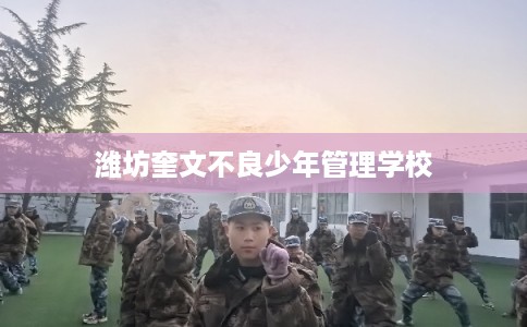 潍坊奎文不良少年管理学校