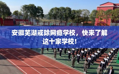 安徽芜湖戒除网瘾学校，快来了解这十家学校!