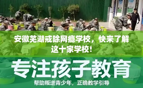 安徽芜湖戒除网瘾学校，快来了解这十家学校!