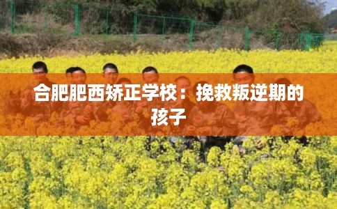 合肥肥西矫正学校：挽救叛逆期的孩子