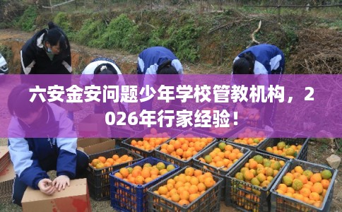 六安金安问题少年学校管教机构，2026年行家经验！