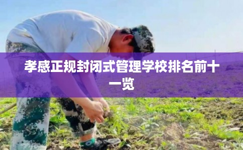 孝感正规封闭式管理学校排名前十一览 孝感正规封闭式管理学校排名前十一览