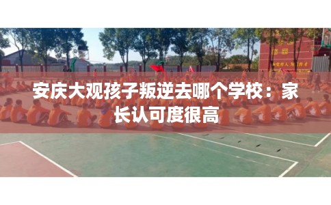 安庆大观孩子叛逆去哪个学校：家长认可度很高
