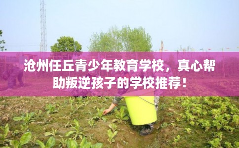 沧州任丘青少年教育学校，真心帮助叛逆孩子的学校推荐！