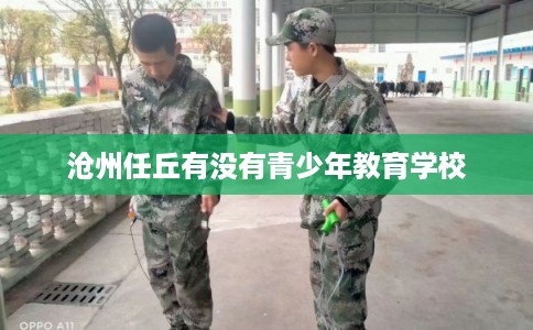 沧州任丘有没有青少年教育学校