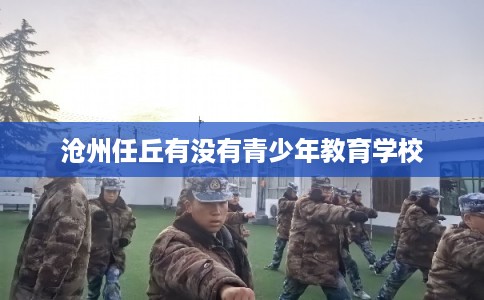 沧州任丘有没有青少年教育学校