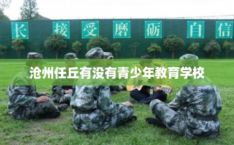 沧州任丘有没有青少年教育学校