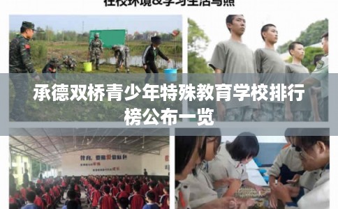 承德双桥青少年特殊教育学校排行榜公布一览