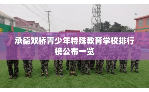 承德双桥青少年特殊教育学校排行榜公布一览