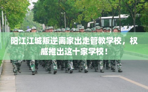 阳江江城叛逆离家出走管教学校，权威推出这十家学校！