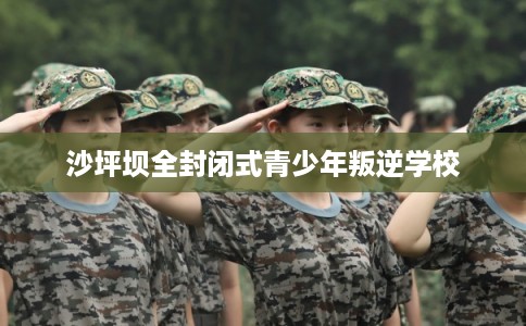 沙坪坝全封闭式青少年叛逆学校