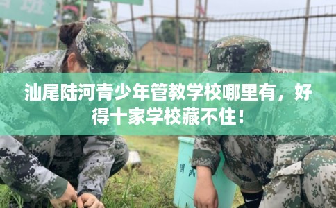 汕尾陆河青少年管教学校哪里有，好得十家学校藏不住！