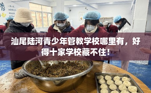 汕尾陆河青少年管教学校哪里有，好得十家学校藏不住！
