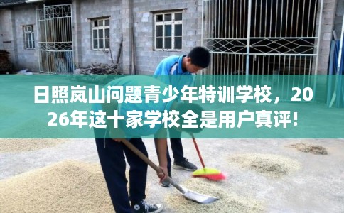日照岚山问题青少年特训学校，2026年这十家学校全是用户真评!