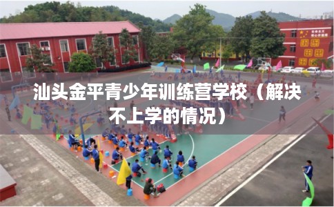 汕头金平青少年训练营学校（解决不上学的情况）