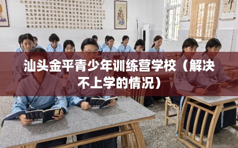 汕头金平青少年训练营学校（解决不上学的情况）