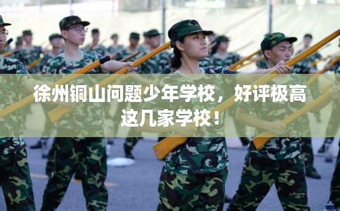 徐州铜山问题少年学校，好评极高这几家学校！