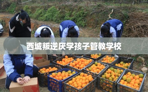 西城叛逆厌学孩子管教学校