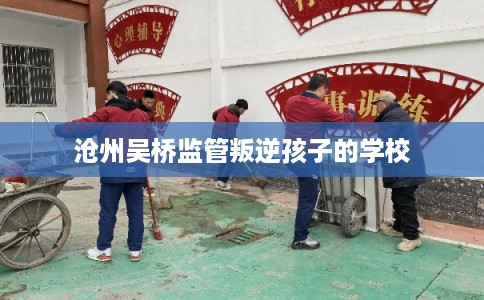 沧州吴桥监管叛逆孩子的学校