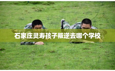 石家庄灵寿孩子叛逆去哪个学校