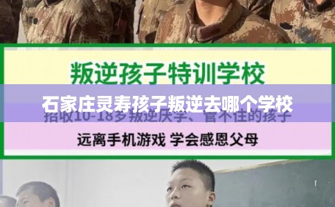 石家庄灵寿孩子叛逆去哪个学校
