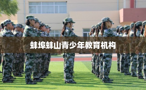 蚌埠蚌山青少年教育机构