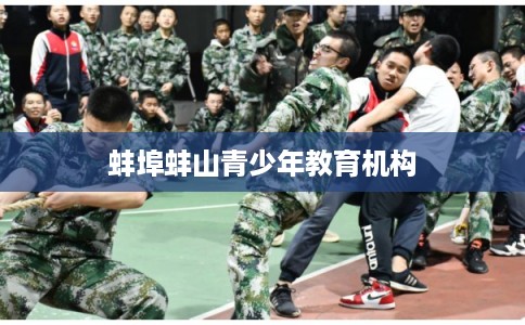 蚌埠蚌山青少年教育机构